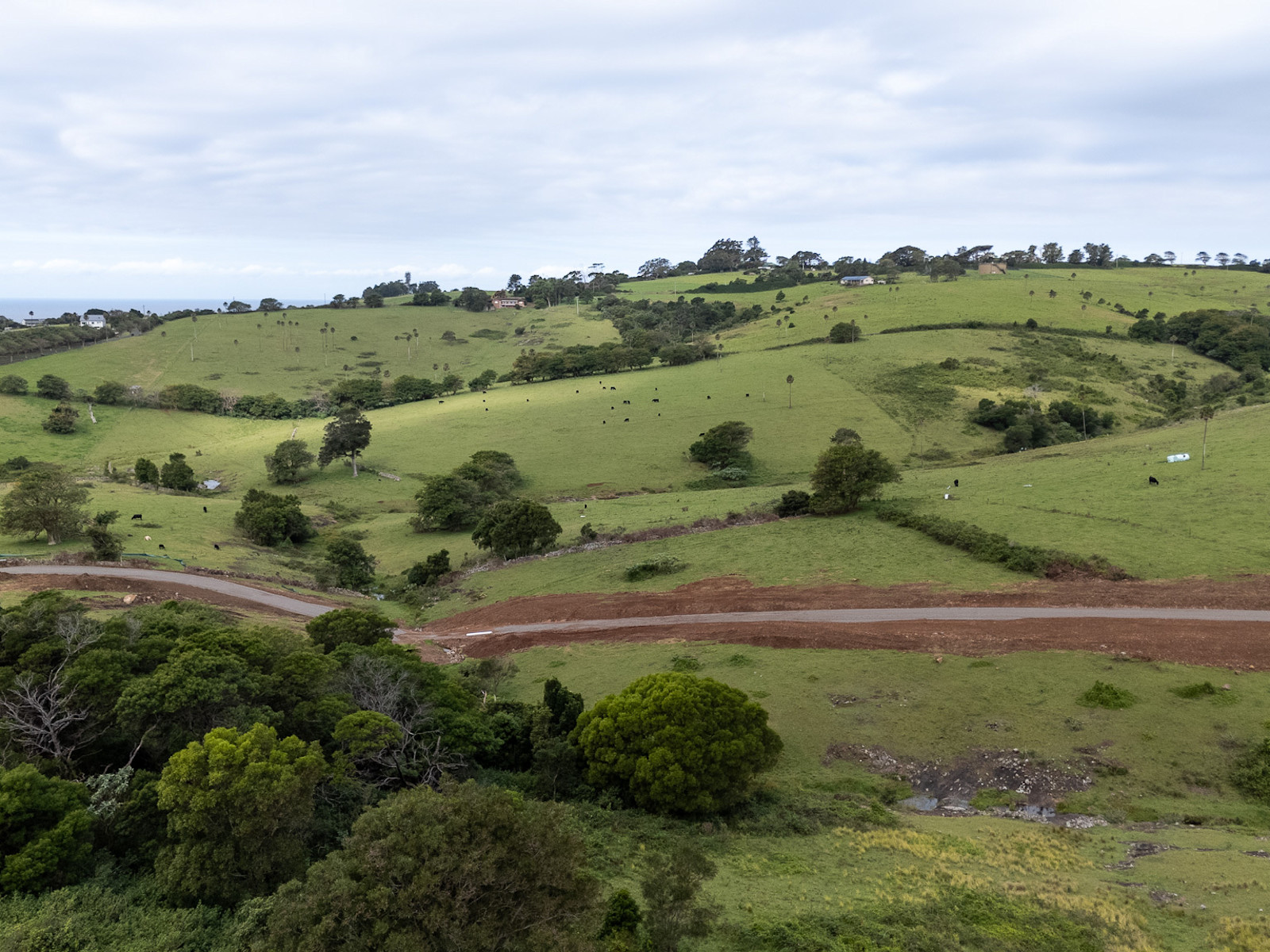 Road Progressing Quickly — image 1