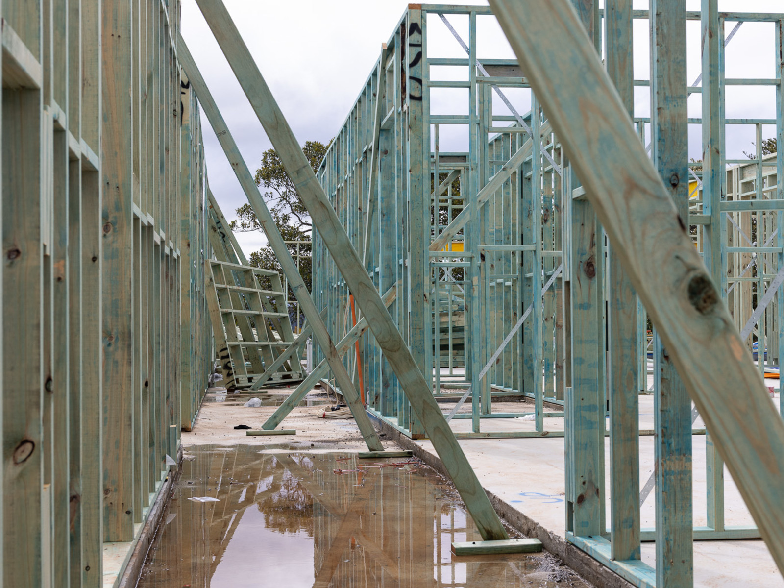 Main Dwelling: Framing Begins — image 4
