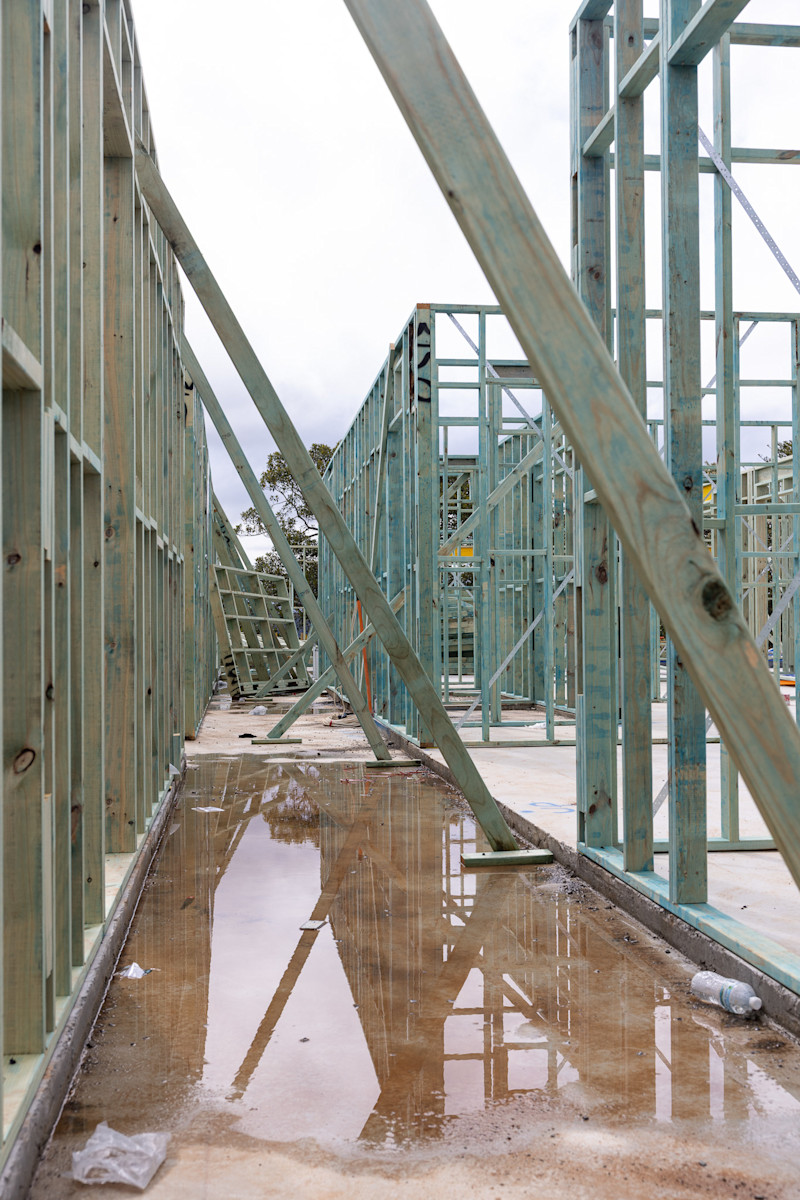 Main Dwelling: Framing Begins — image 4