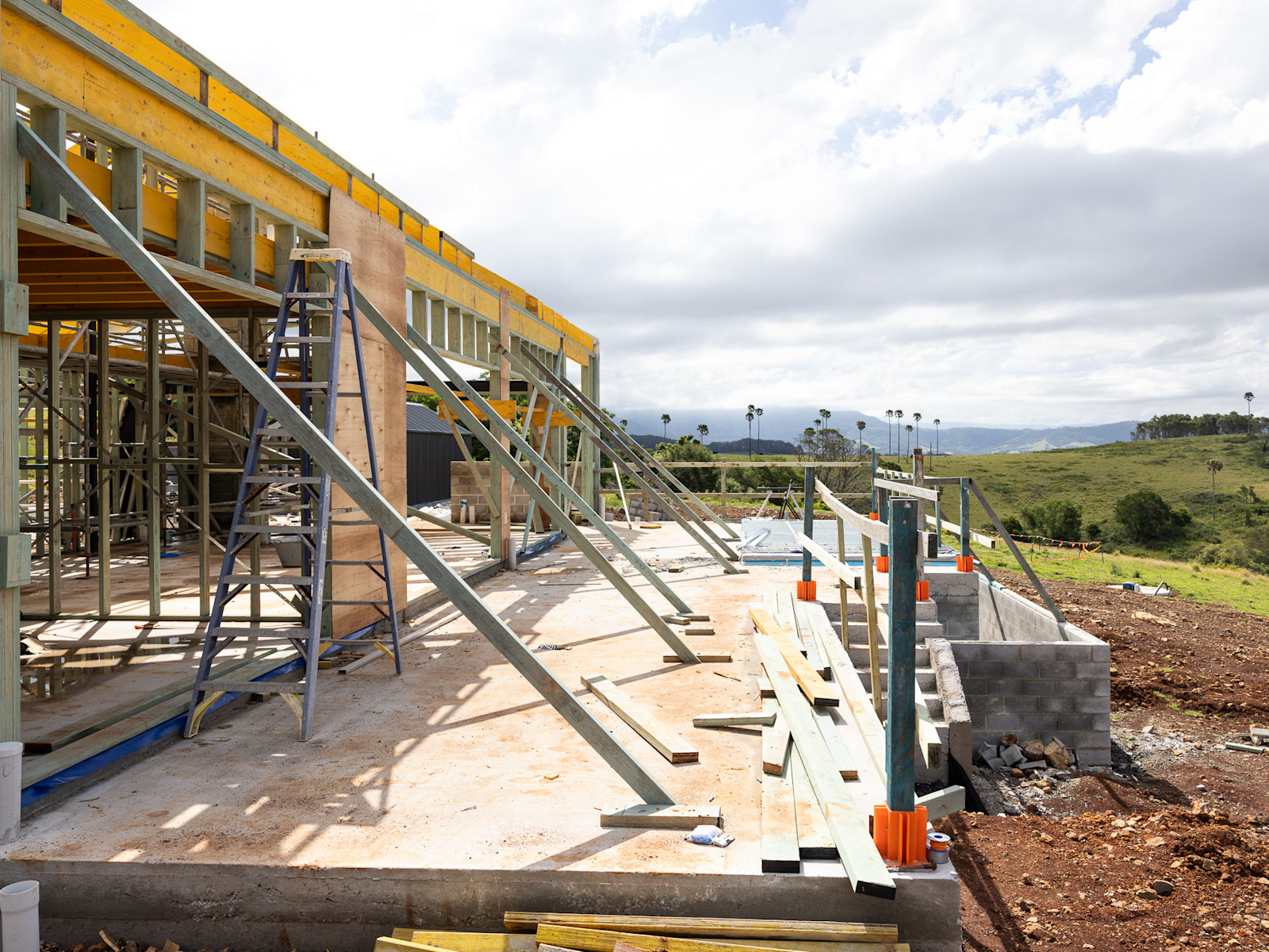 Secondary Dwelling: Trusses Up — image 9