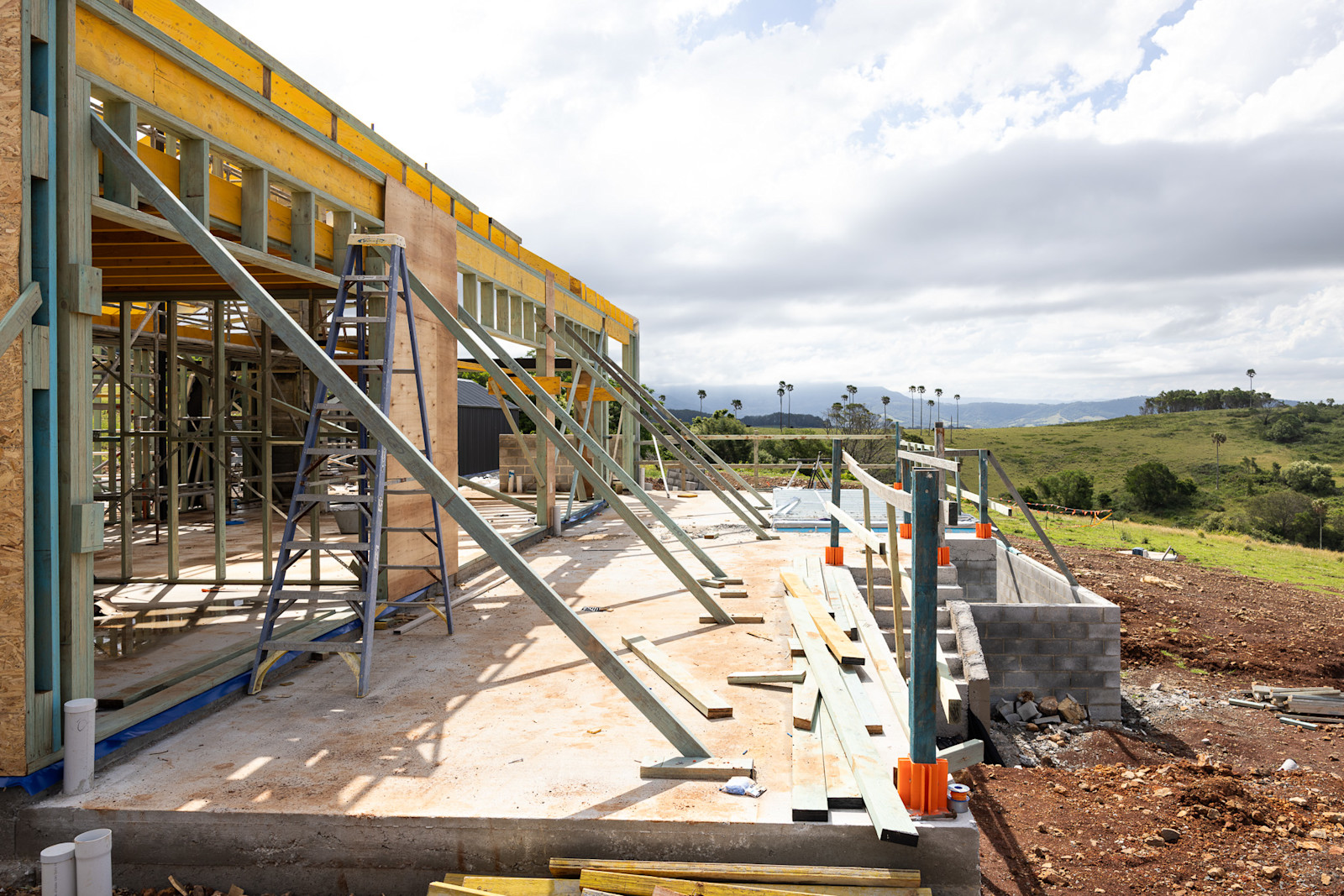 Secondary Dwelling: Trusses Up — image 9