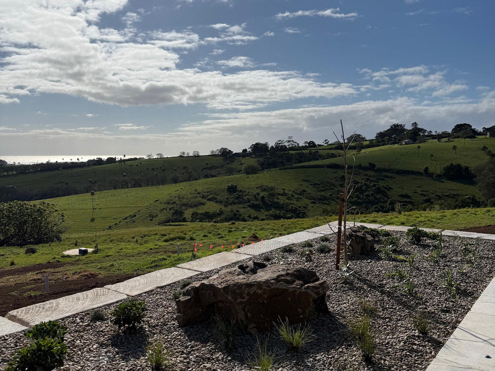 Landscaping: Progress Update — image 2