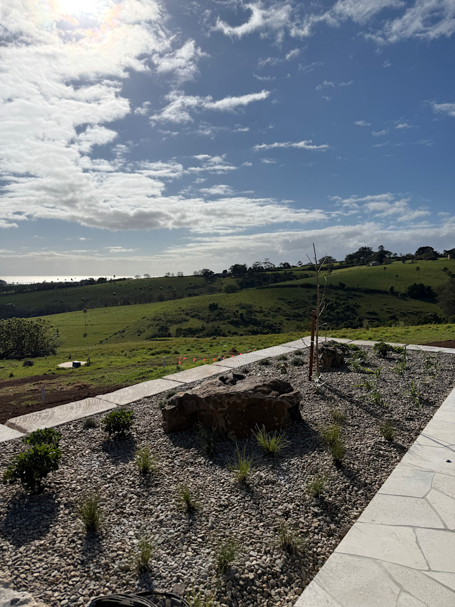 Landscaping: Progress Update — image 2