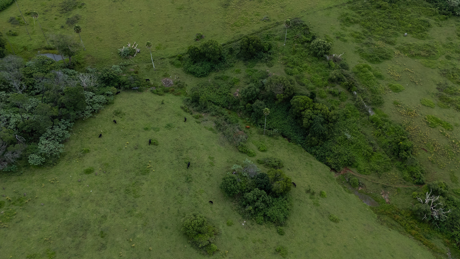 Road Progressing Quickly — image 5