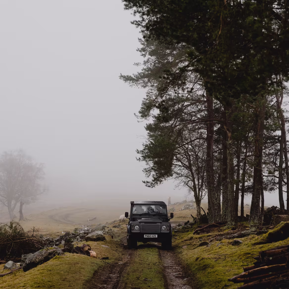 A Land Rover driving along a forest track beside tall pine trees on a misty Scottish morning.