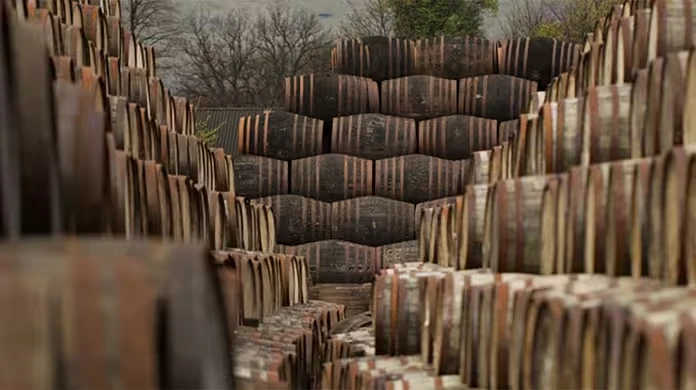 Large stacks of wooden barrels are arranged in rows outdoors, forming a narrow pathway between them. Bare trees and cloudy skies are visible in the background, suggesting a cool or autumn season.