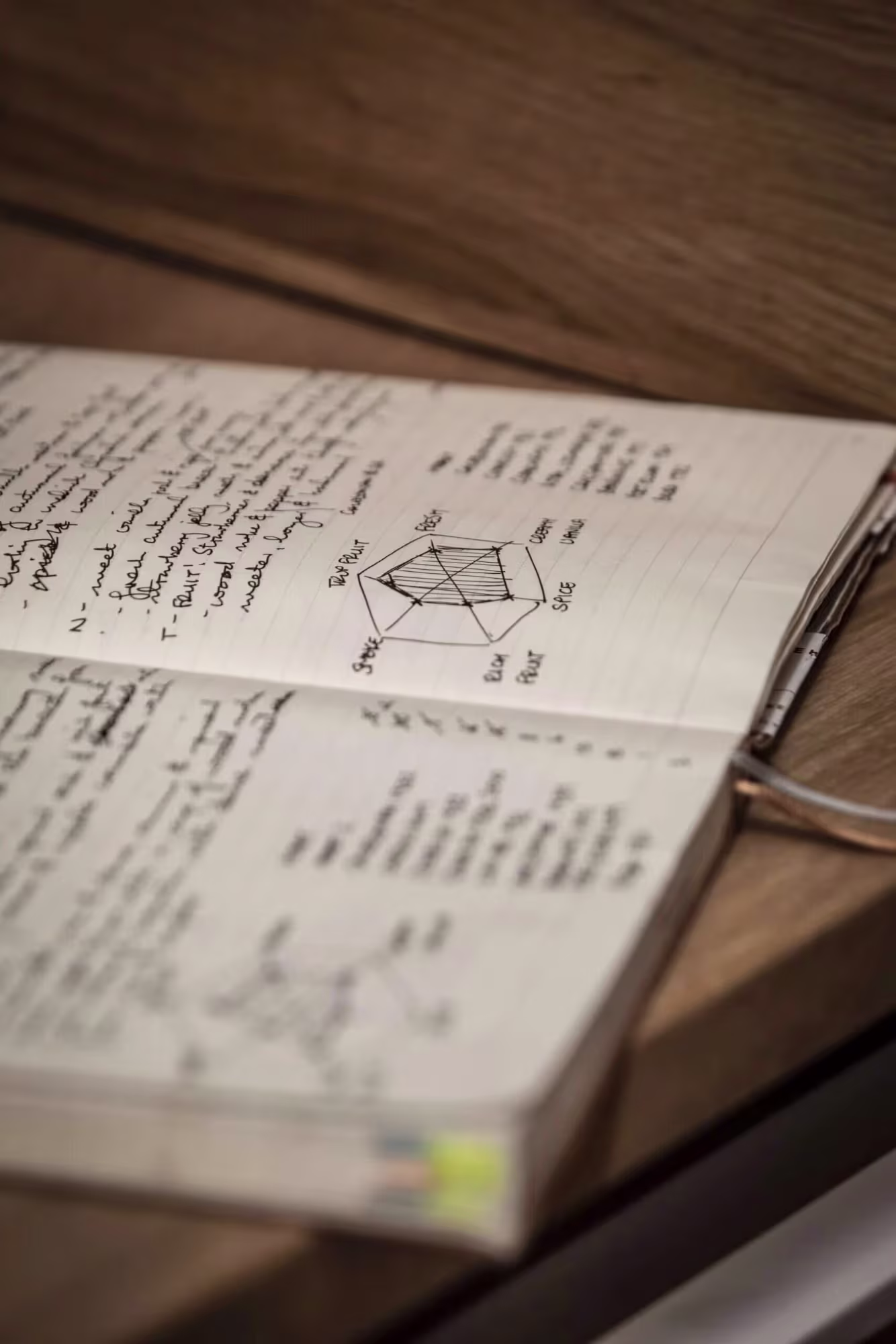 An open notebook of handwritten tasting notes with a hexagonal flavour chart, on a wooden desk.