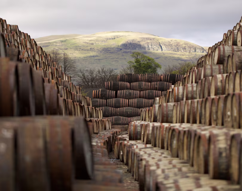 A large number of wooden barrels are stacked in rows outdoors, leading towards a hill in the background under a cloudy sky. The barrels are weathered, and the landscape has a natural, earthy feel.