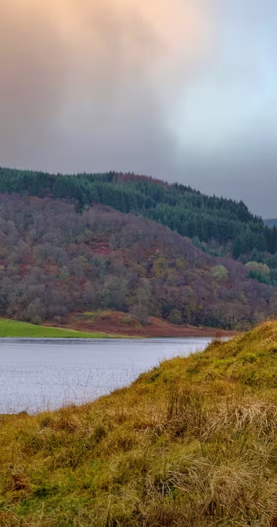 A calm lake bordered by grassy banks and densely wooded hills under a cloudy sky, with autumn colors visible in the trees.