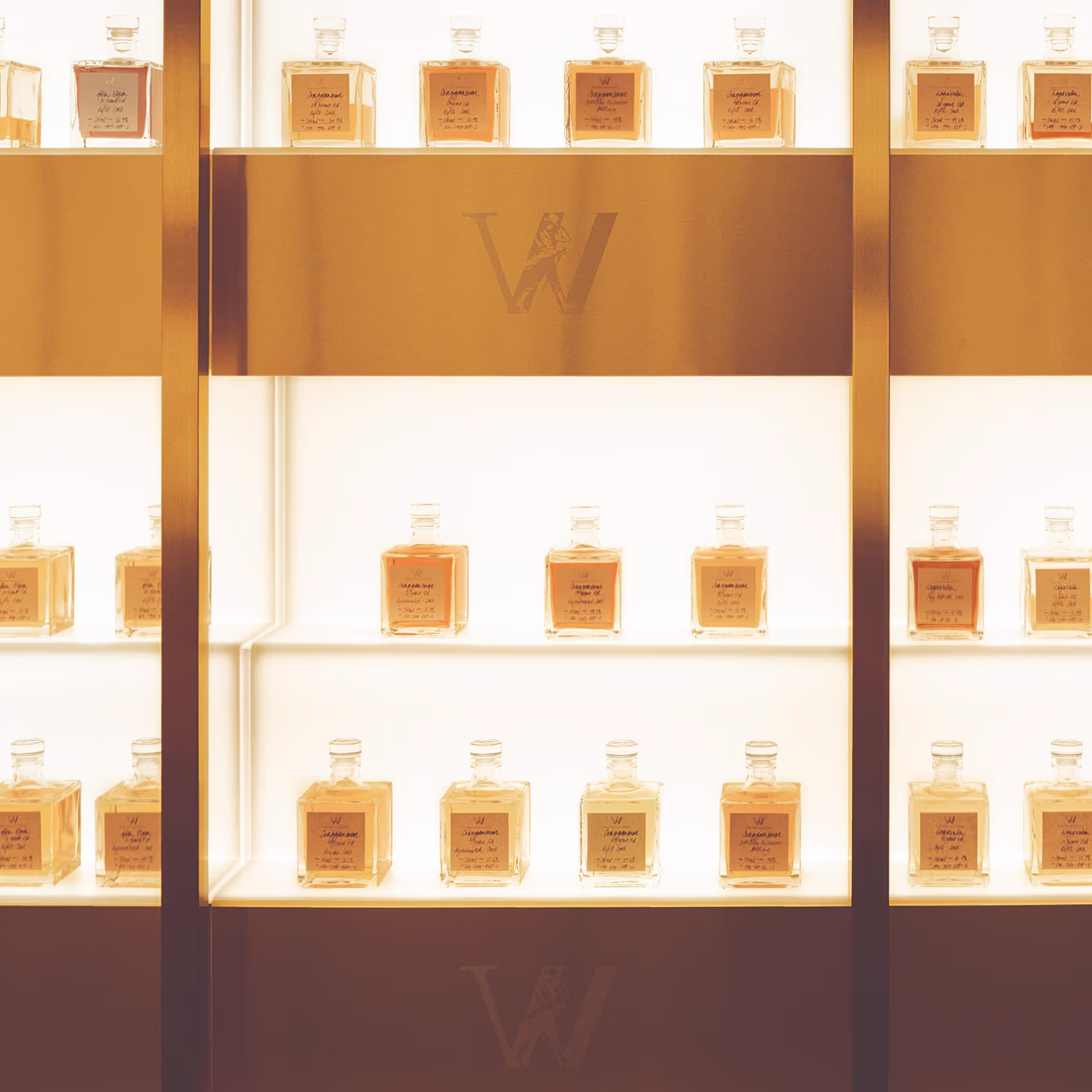 Shelves displaying rows of square perfume bottles with labels, illuminated by golden light.