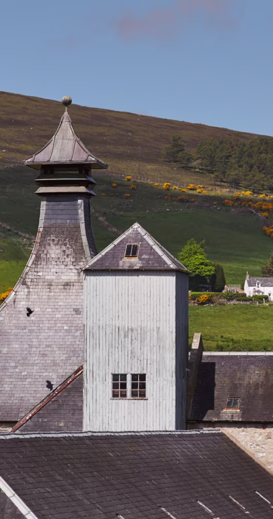 A close-up of a traditional Scottish distillery rooftop with a distinctive pagoda-style vent, set against green hills and a partially visible white cottage in the background.