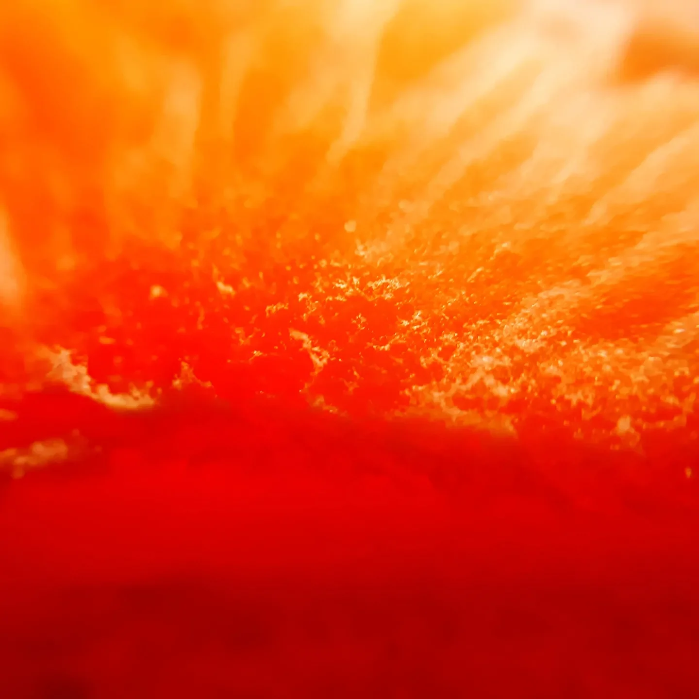 Close-up of a vibrant orange and red texture, resembling a macro shot of a fruits surface, possibly an orange or grapefruit. The image highlights the intricate patterns and gradients of colors.