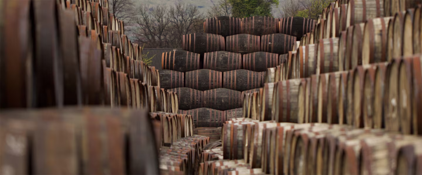 Rows of stacked wooden barrels fill the scene, stretching into the distance. The barrels create a repeating pattern, suggesting a large storage area, possibly for aging whiskey or wine. Trees and a hint of landscape are visible in the background.
