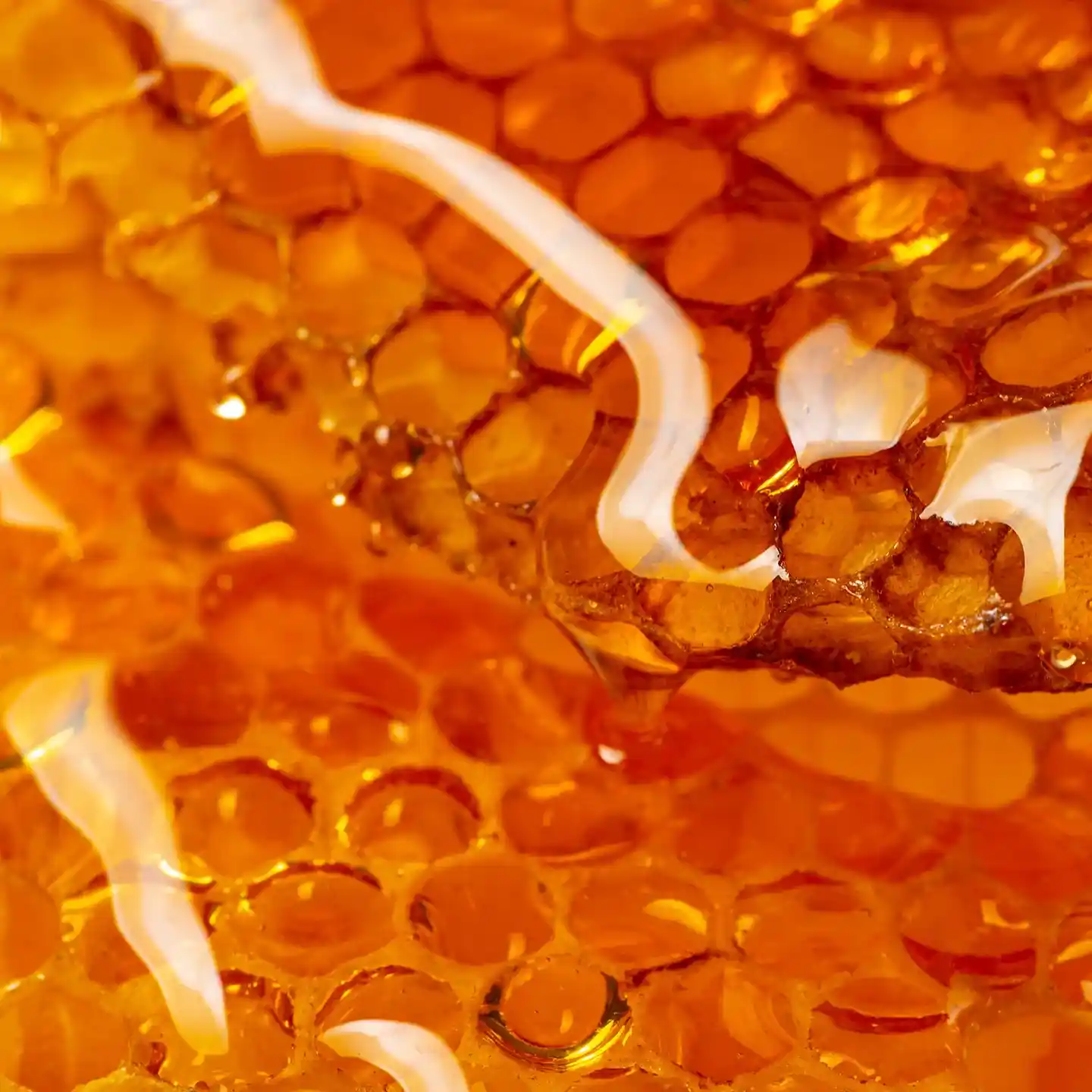 Close-up image of golden honeycomb covered in shiny, sticky honey. The hexagonal cells are filled with the amber liquid, creating a textured and visually appealing pattern. The light reflects off the honey, giving it a shiny appearance.