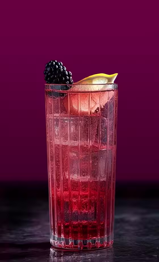 背の高いグラスに赤い飲み物、氷を入れ、ブラックベリーとレモンのスライスを飾ります。カップは暗い反射面の上にあり、背景には濃い紫色のカーテンがあります。