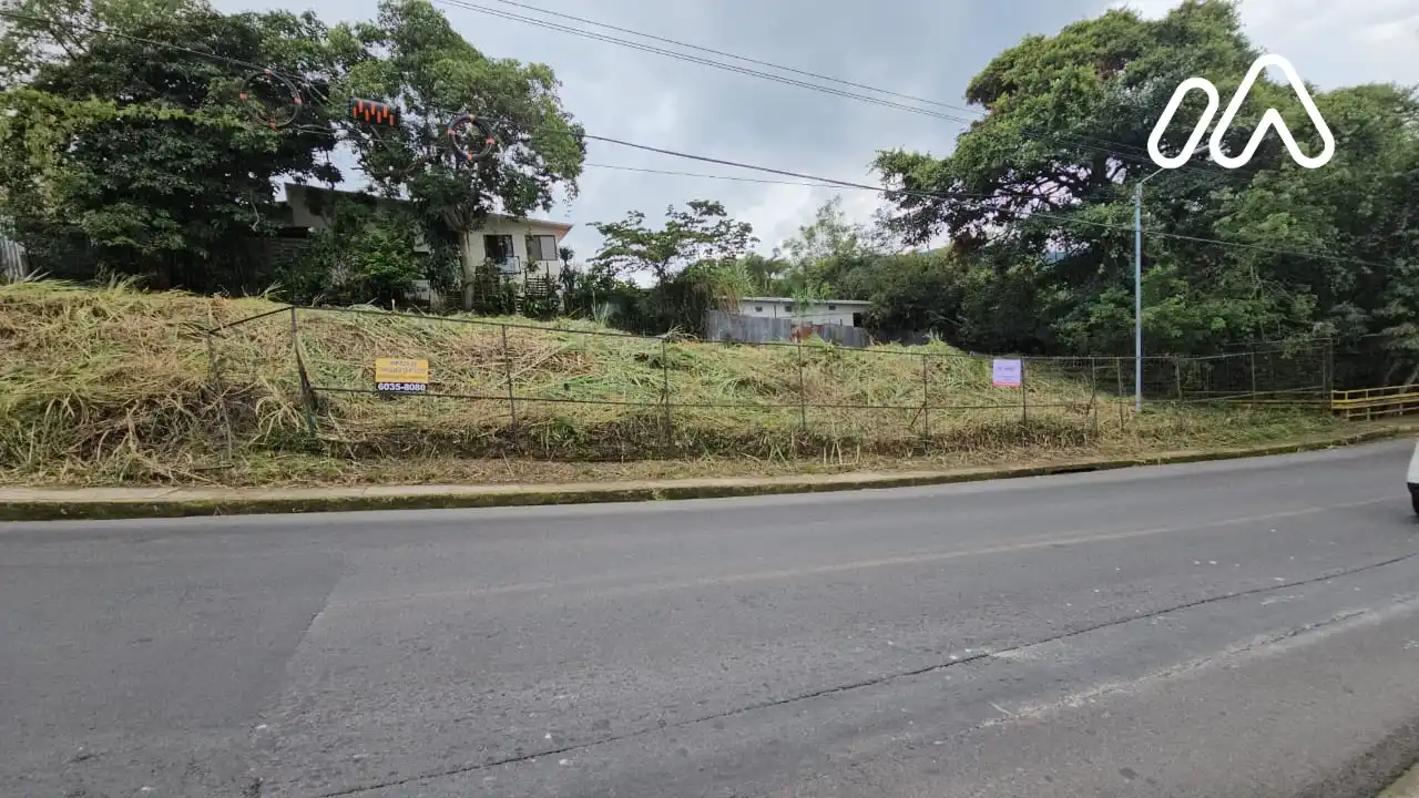 Imagen 1 Lote 1214061000 Imagen 1 Lote 1214061000