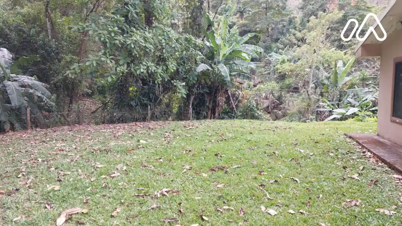 foto13718060007 foto13718060007