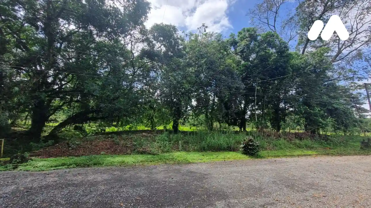 Imagen 1 Lote 7170742000