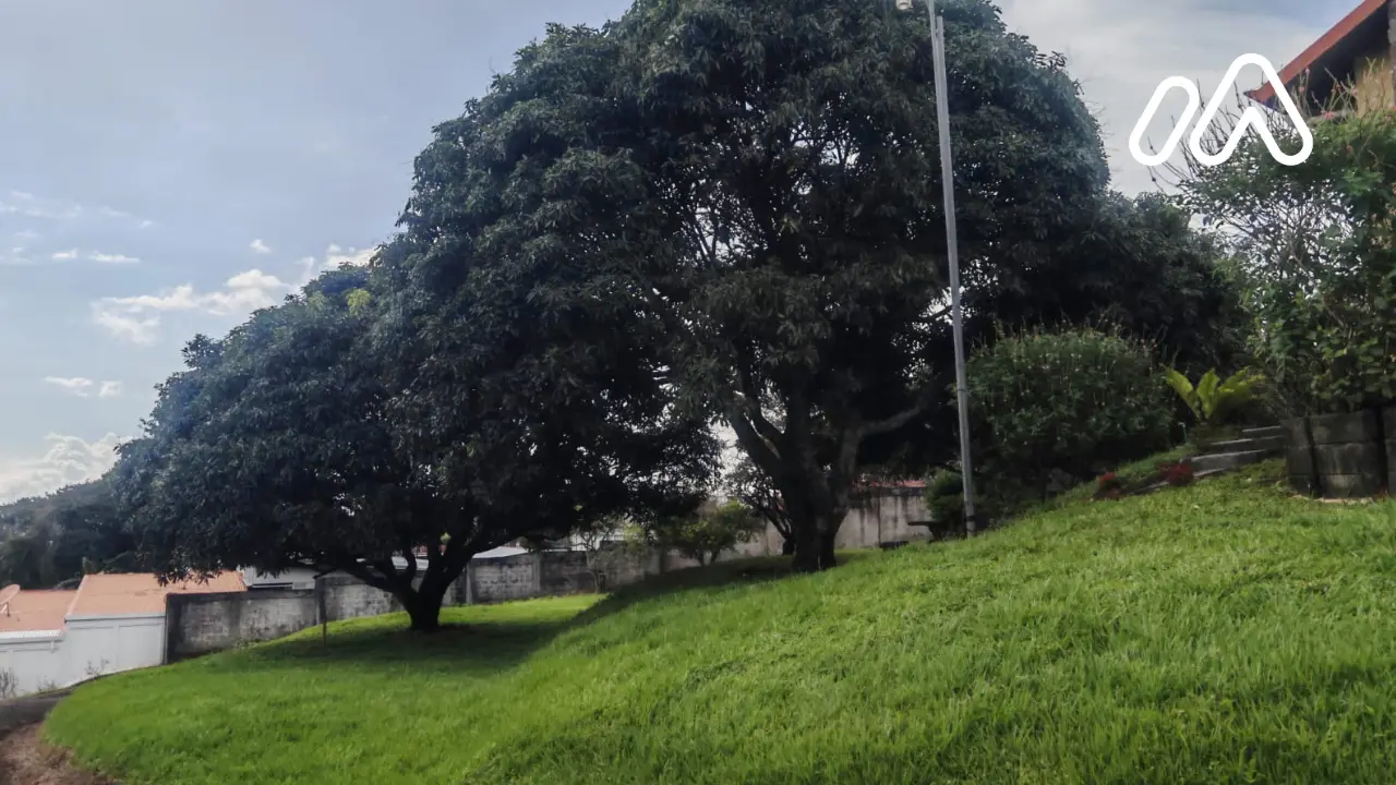 Imagen 8 Casa 2411410000