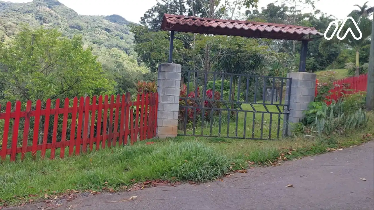 Imagen 1 Lote 1679955000