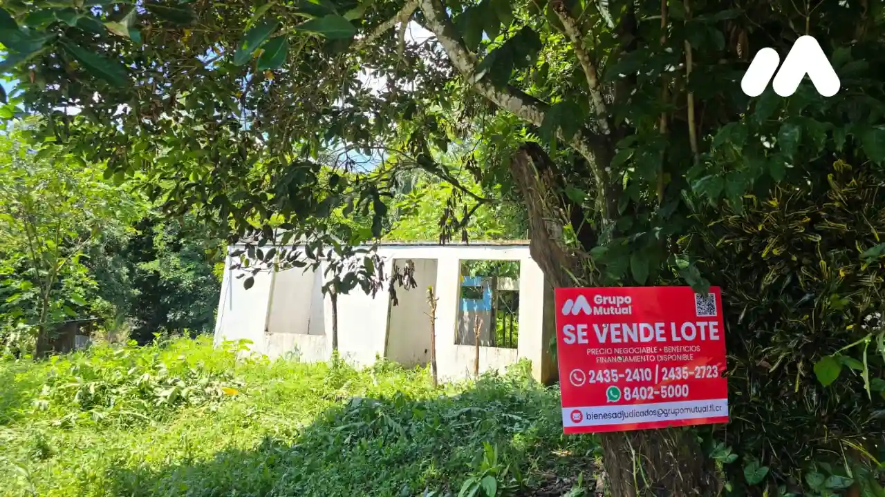 Lote708776100001
