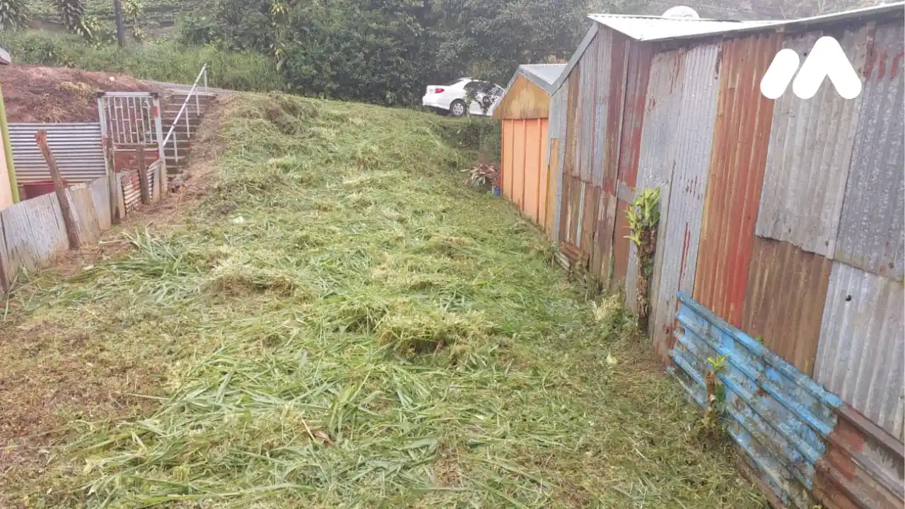 Imagen 3 Lote 200503994000