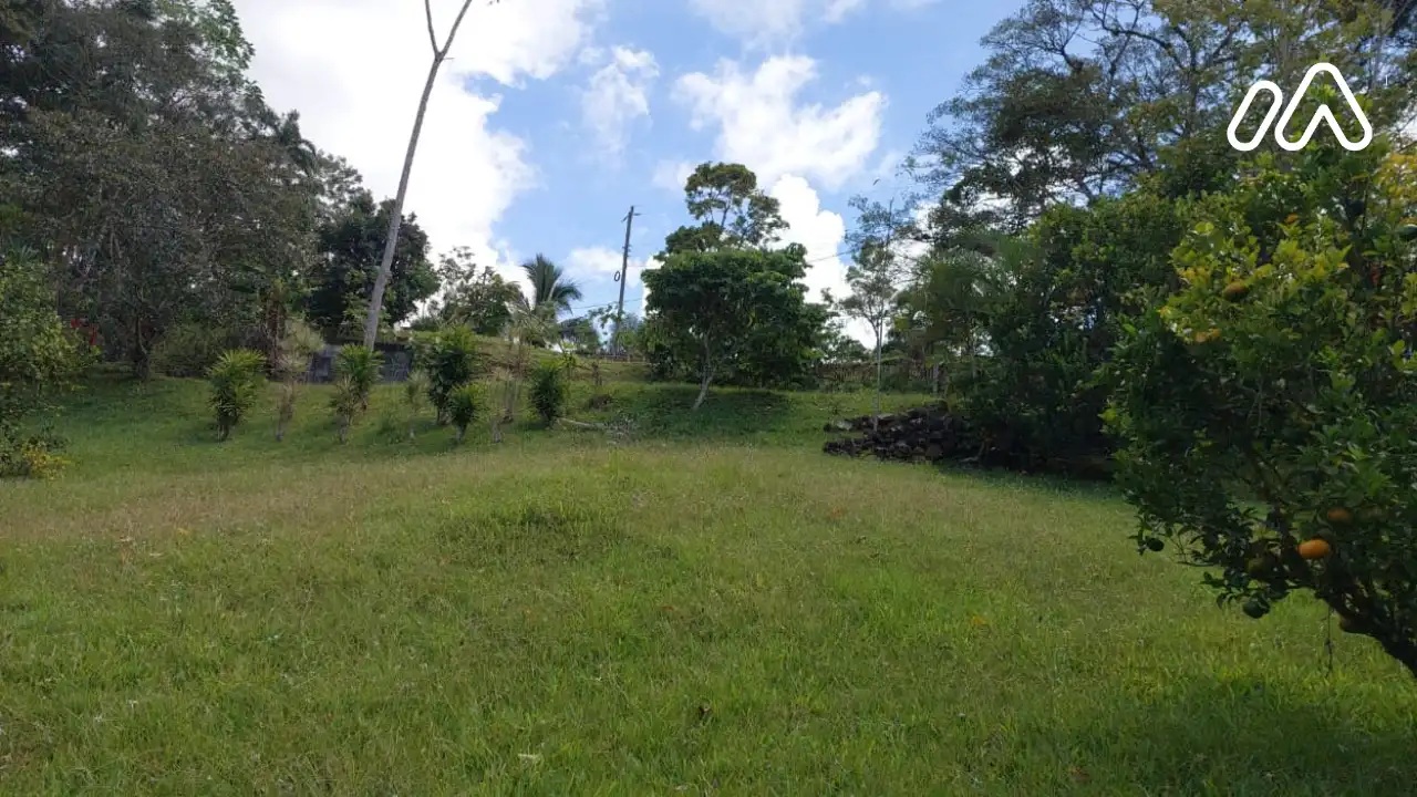 Imagen 3Lote 1679955000