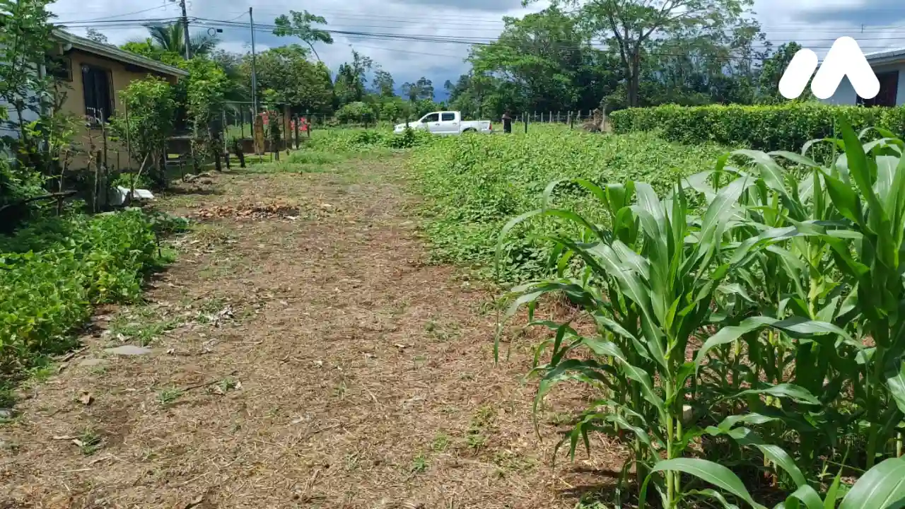 Imagen 1 Lote 7160282000