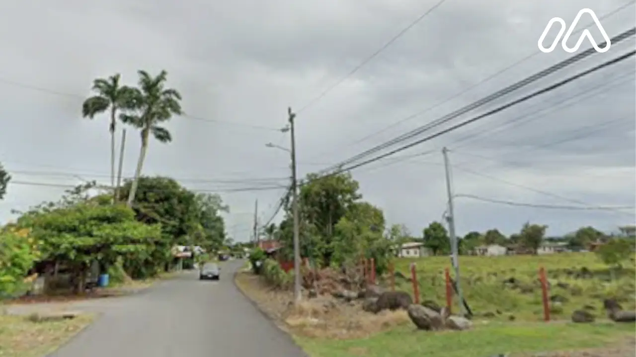 Imagen 1 Lote 7170742000