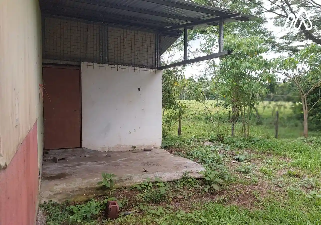 Casa provincia Limon distrito Pococi3