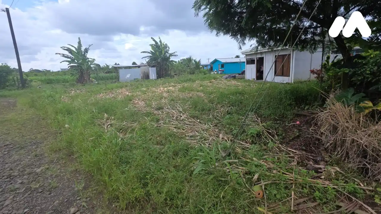 Lote32599536000 Lote32599536000