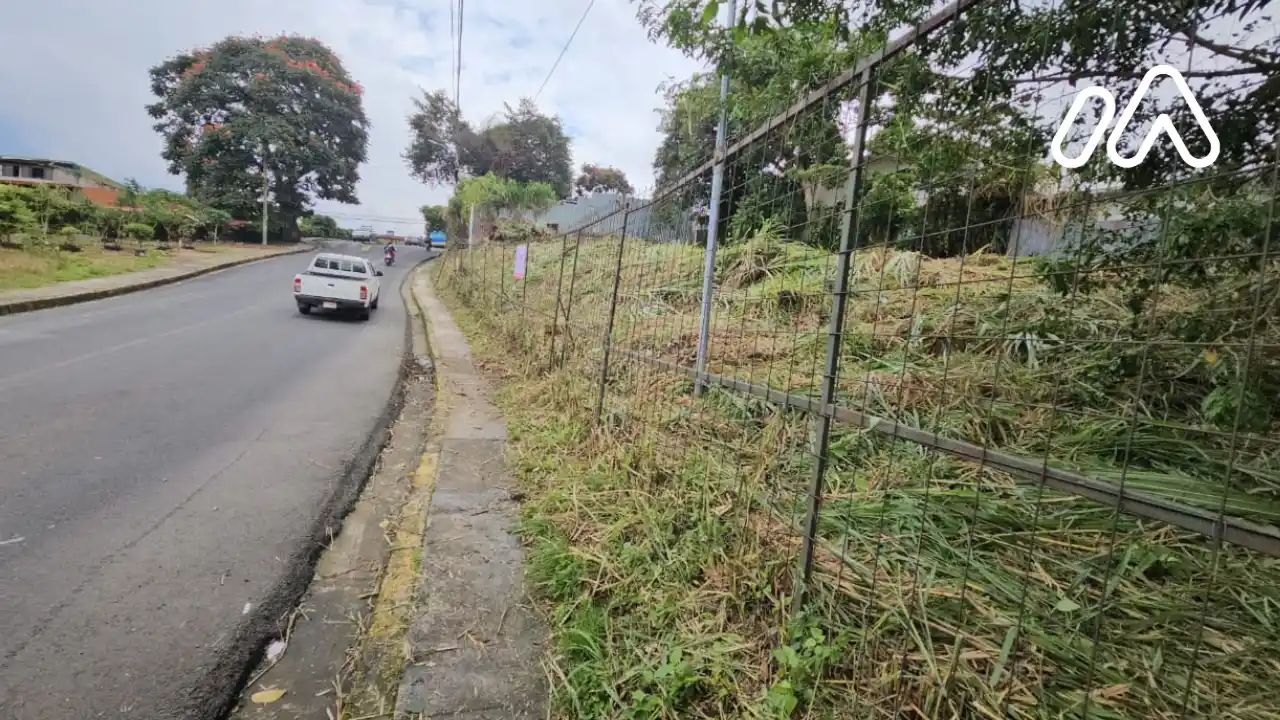 Imagen 2 Lote 1214061000 Imagen 2 Lote 1214061000