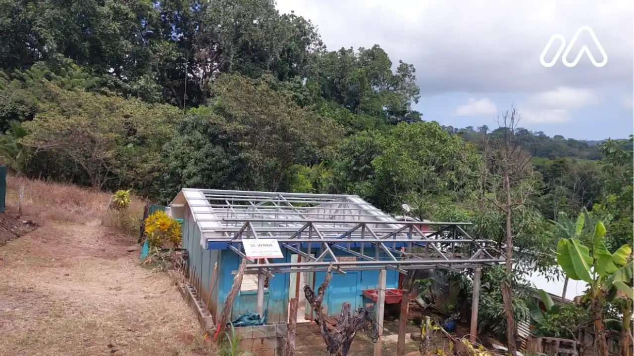 Imagen 1 Lote 1596994000