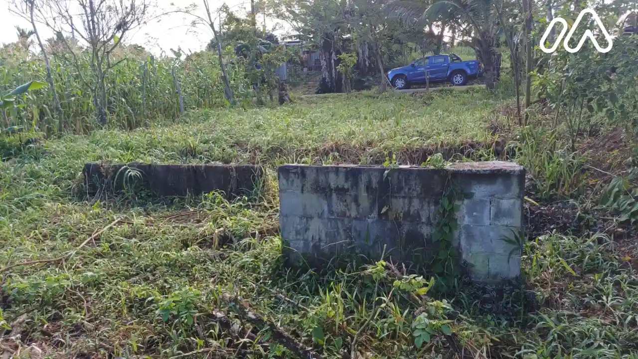 Imagen 2Lote 2547398000