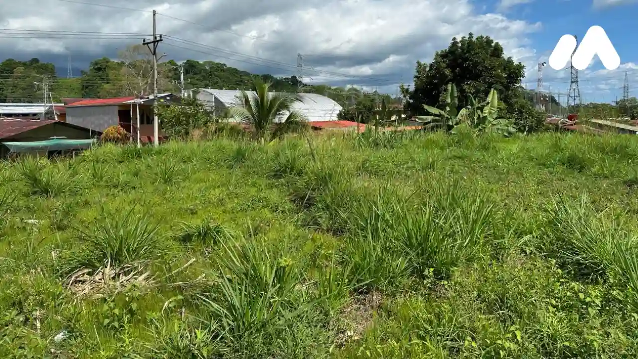 Imagen 2 Lote 6202290000