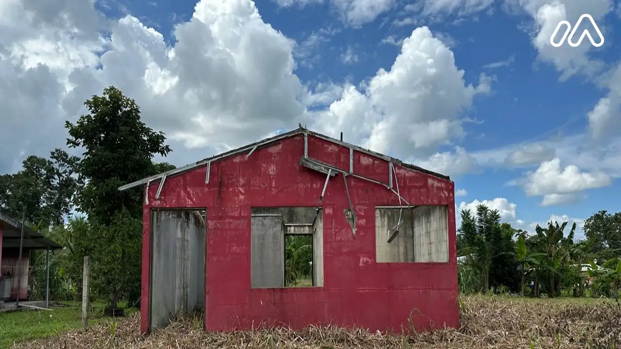 Lote Limón1