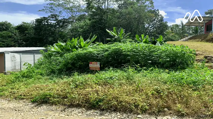 Lote limón terreno de solar