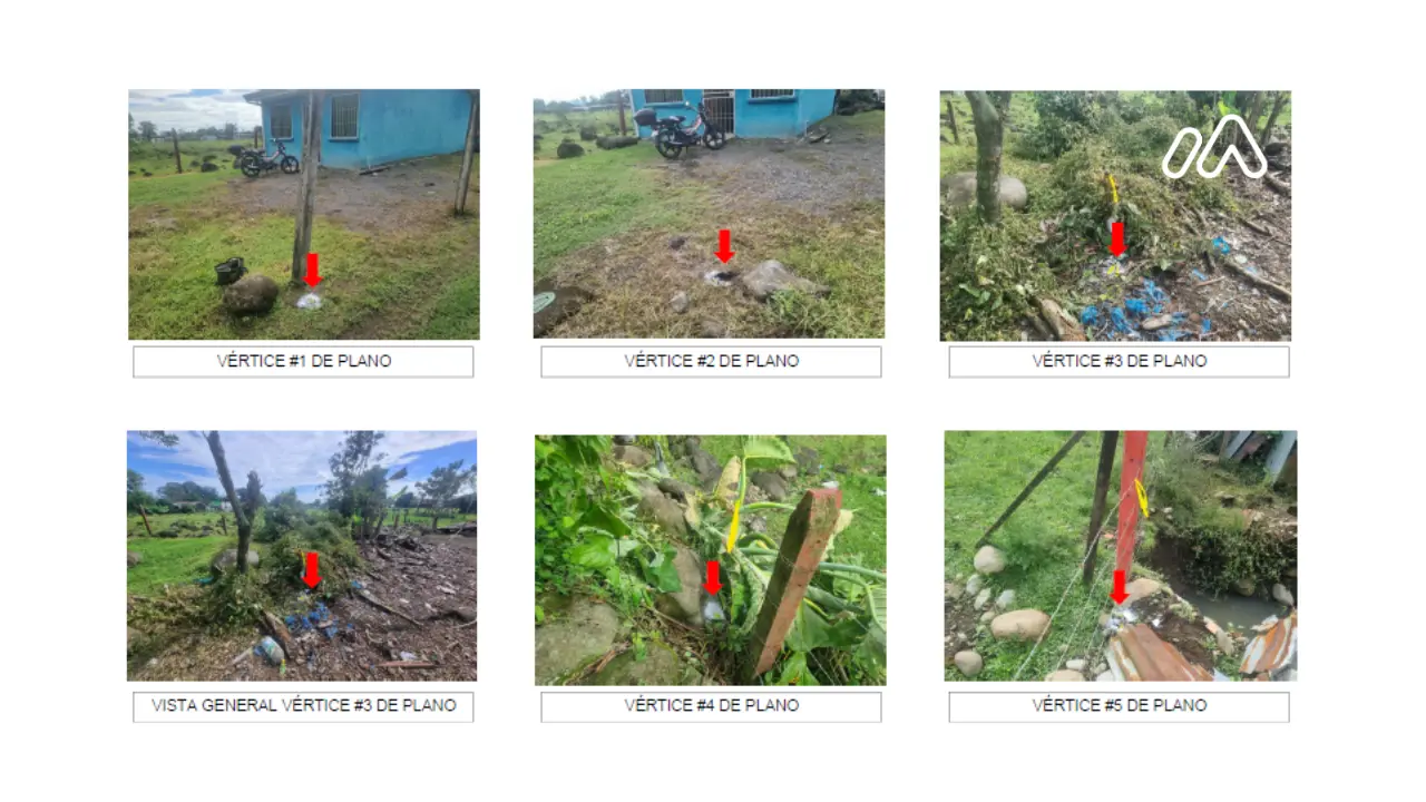 Imagen 2Lote 7170742000