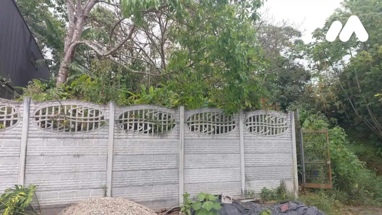 Imagen 3 Lote 3230700000