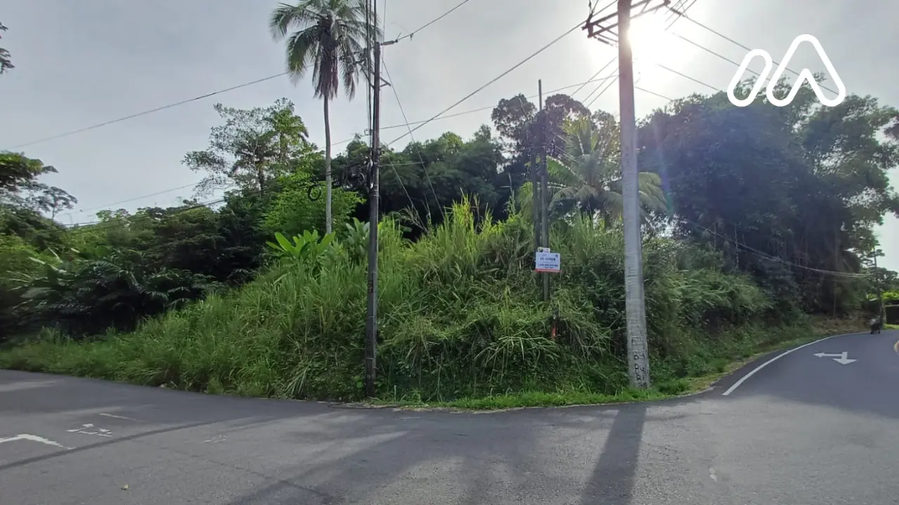Fotografía 1 de Lote en la provincia de Limón distrito Limón área de 797.23 m2