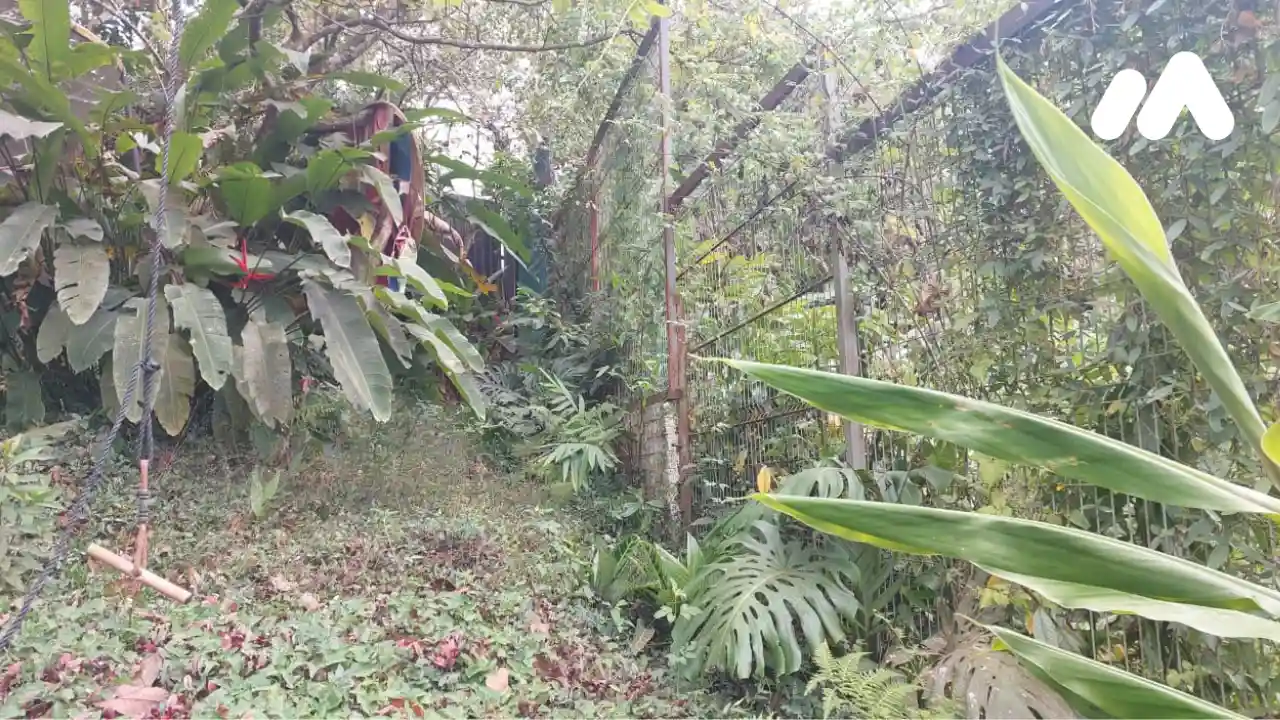 Imagen 4 Lote 3230700000