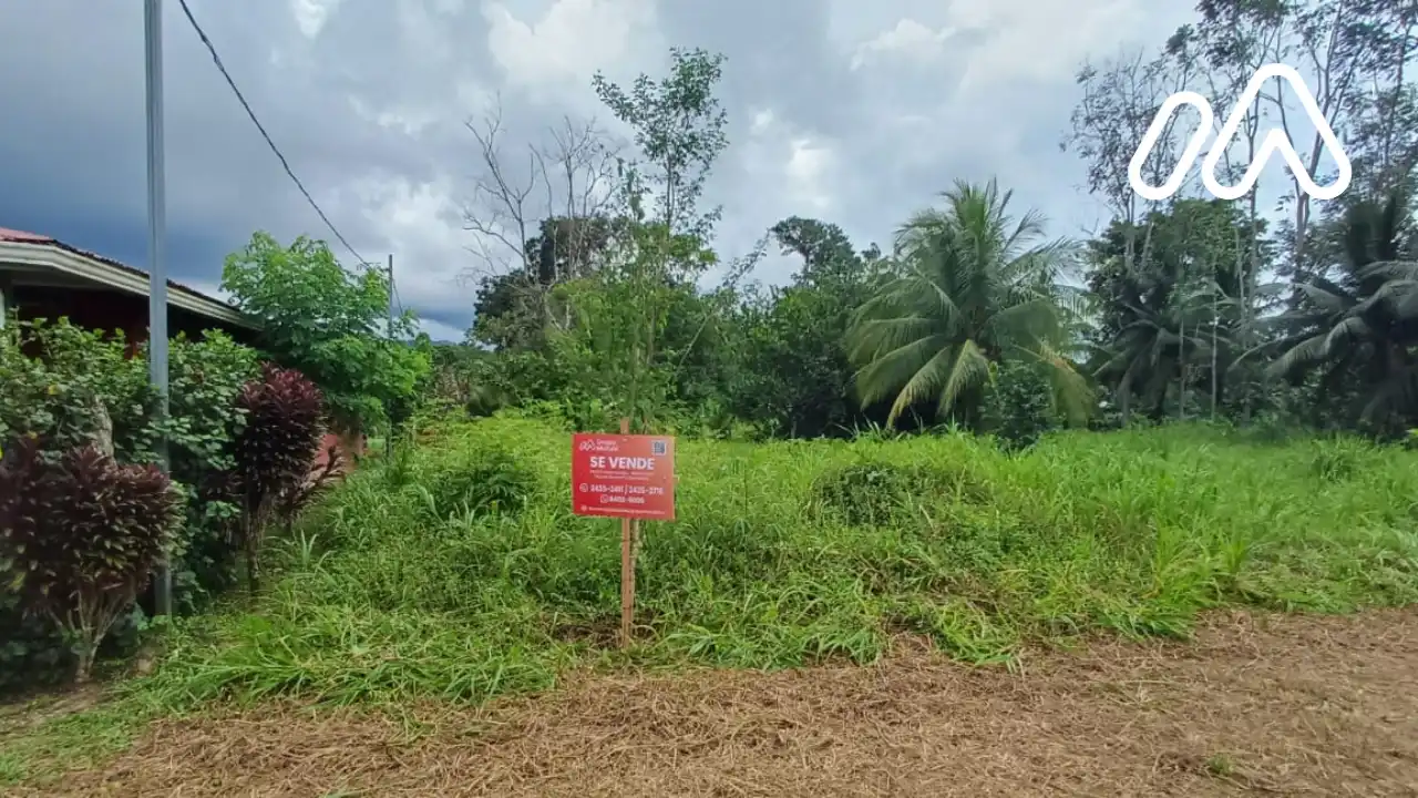 Imagen 1 Lote 7175835000