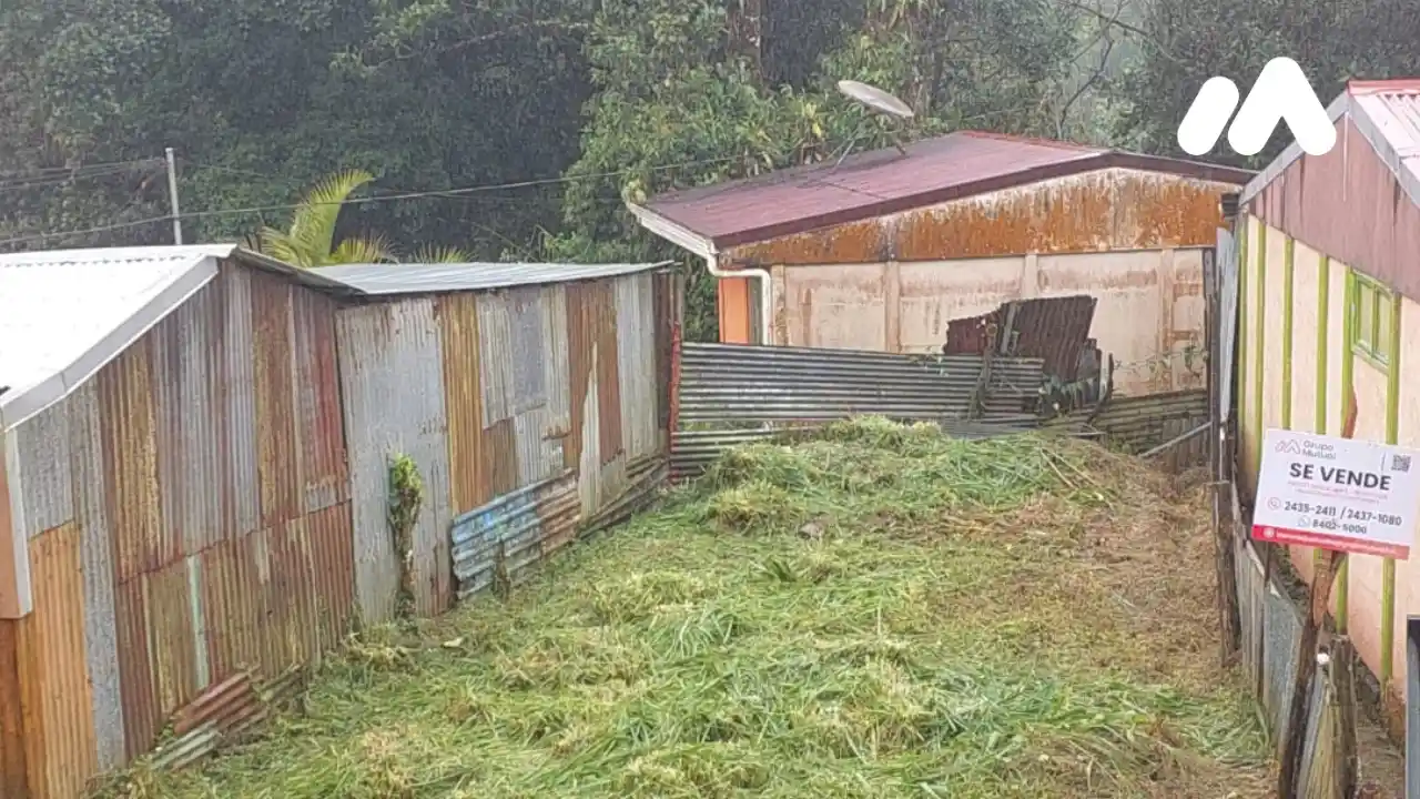 Imagen 2 Lote 200503994000