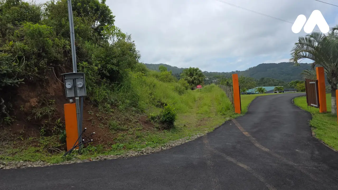 lote2522408000 lote2522408000