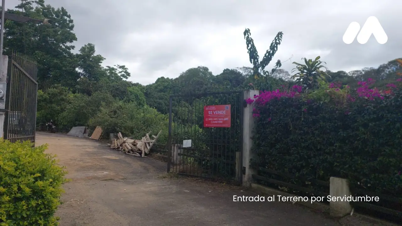 Imagen 1 Lote 3230700000