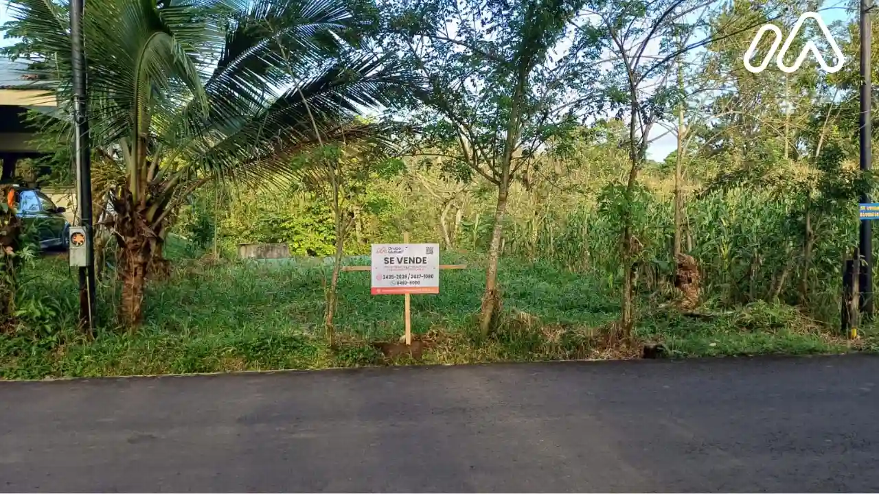 Imagen 1 Lote 2547398000