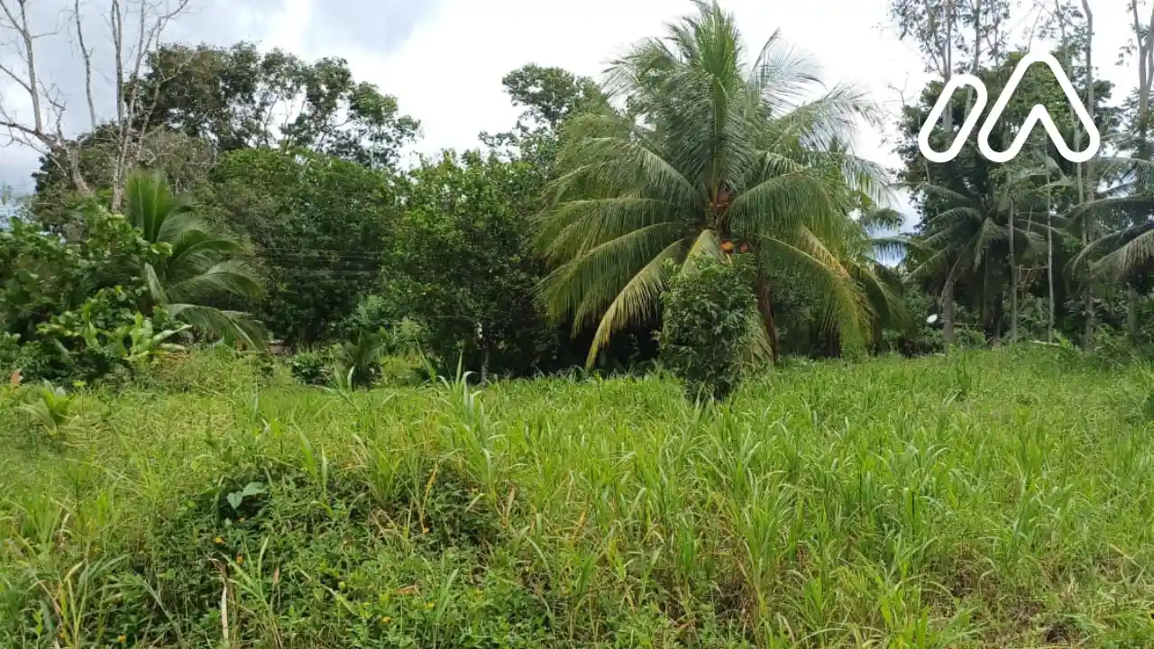 Imagen 2 Lote 7175835000