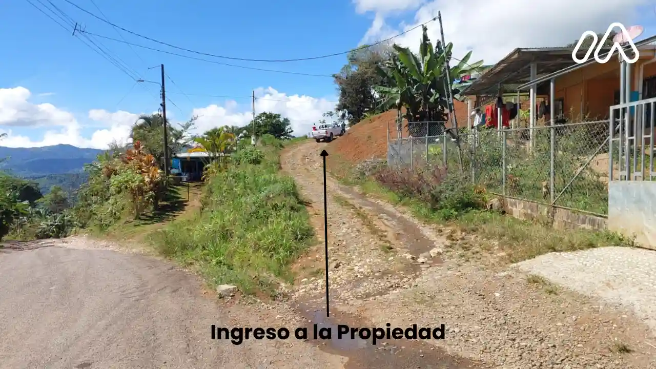 Imagen 2Lote 6032938000