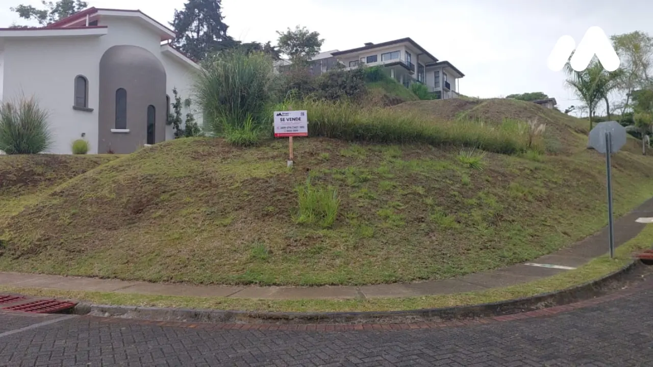 Lote10065080F00001