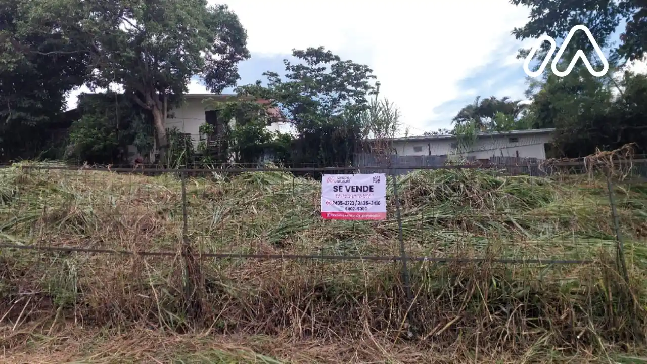 Imagen 3 Lote 1214061000 Imagen 3 Lote 1214061000